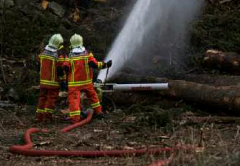 LaRegione: Una nuova legge per i pompieri